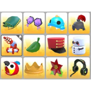 BUNDLE PET WEAR X12