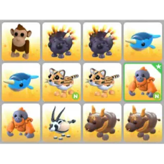 BUNDLE PET X12