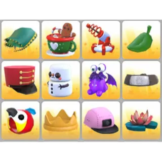 BUNDLE PET WEAR X12
