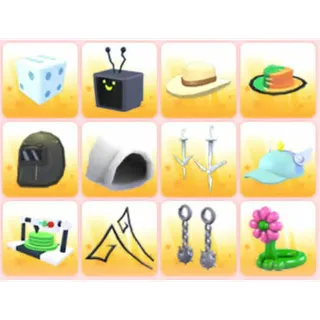 BUNDLE PET WEAR X12