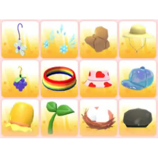 BUNDLE PET WEAR X12