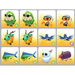 BUNDLE PET X12