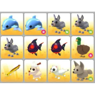 BUNDLE PET X12