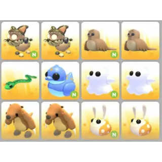 BUNDLE PET X12