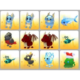 BUNDLE PET X12