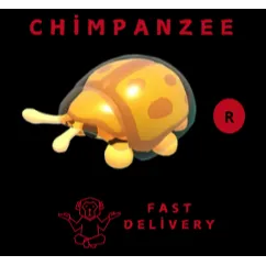 golden tortoise beetle R