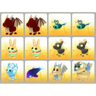 BUNDLE PET X12