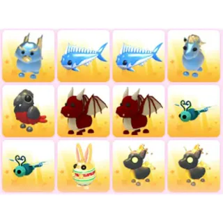 BUNDLE PET X12