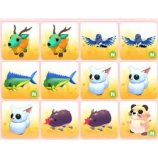 BUNDLE PET X12