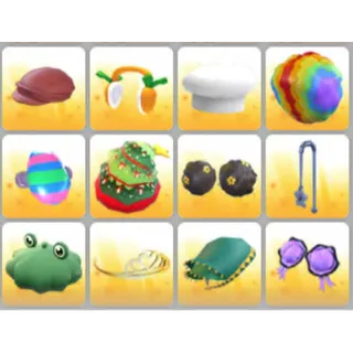 BUNDLE PET WEAR X12