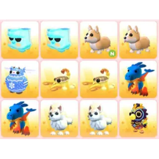 BUNDLE PET X12