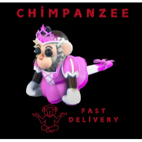 PRINCESS capuchin monkey X4