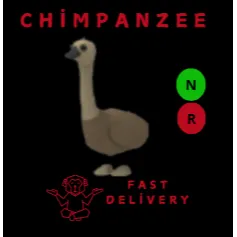 EMU NR