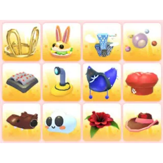 BUNDLE PET WEAR X12