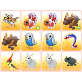 BUNDLE PET X12