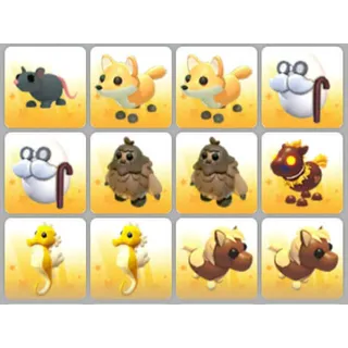 BUNDLE PET X12