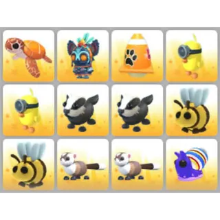 BUNDLE PET X12