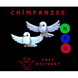 TURTLE DOVES NFR