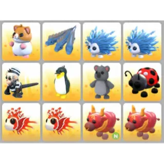 BUNDLE PET X12