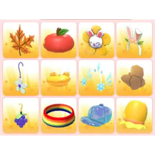 BUNDLE PET WEAR X12