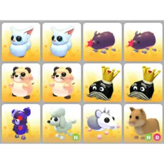 BUNDLE PET X12