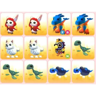 BUNDLE PET X12