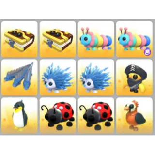 BUNDLE PET X12