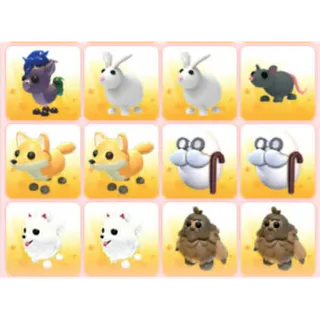 BUNDLE PET X12
