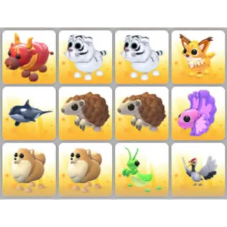 BUNDLE PET X12