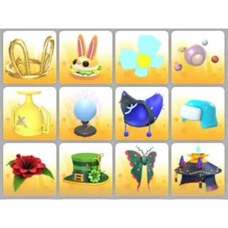 BUNDLE PET WEAR X12