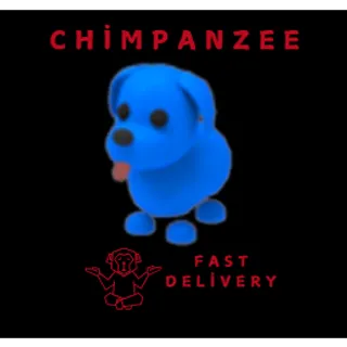 BLUE DOG 