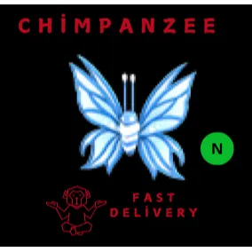 BIRTHDAY BUTTERFLY 2024 NEON