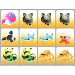 BUNDLE PET X12