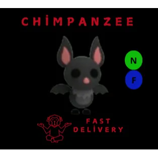 BAT NF