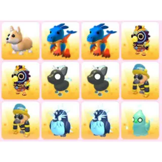 BUNDLE PET X12