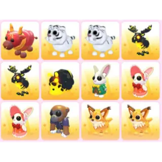 BUNDLE PET X12