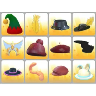 BUNDLE PET WEAR X12