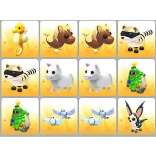 BUNDLE PET X12