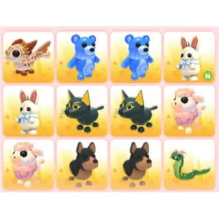 BUNDLE PET X12