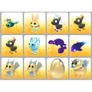 BUNDLE PET X12