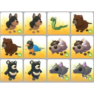BUNDLE PET X12