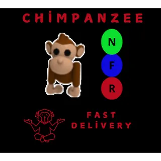 MONKEY NFR
