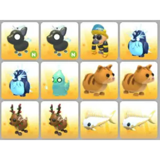 BUNDLE PET X12