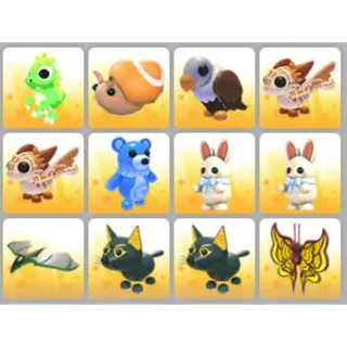 BUNDLE PET X12
