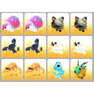 BUNDLE PET X12
