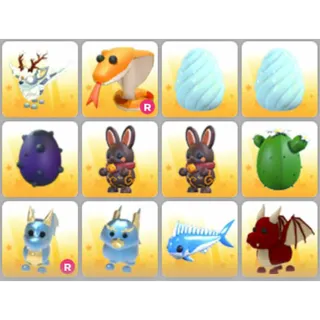 BUNDLE PET X12