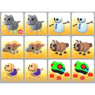 BUNDLE PET X12