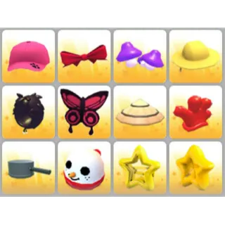 BUNDLE PET WEAR X12