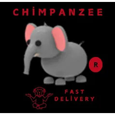 ELEPHANT R