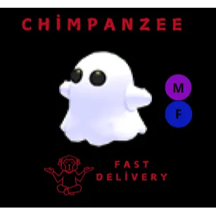 GHOST MF